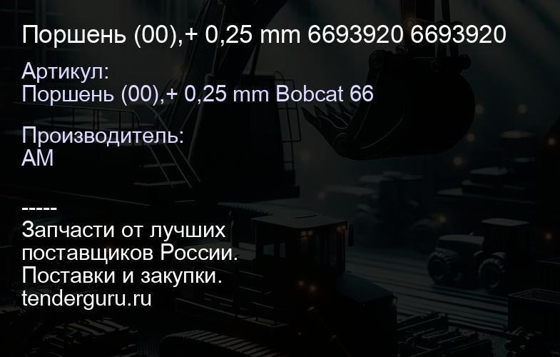 Поршень (00),+ 0,25 mm 6693920 6693920 | купить запчасти